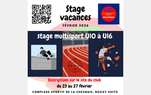 Stage multisport vacances - section Nozay - février 2026