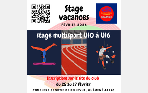 Stage multisport vacances - section Guémené - février 2026